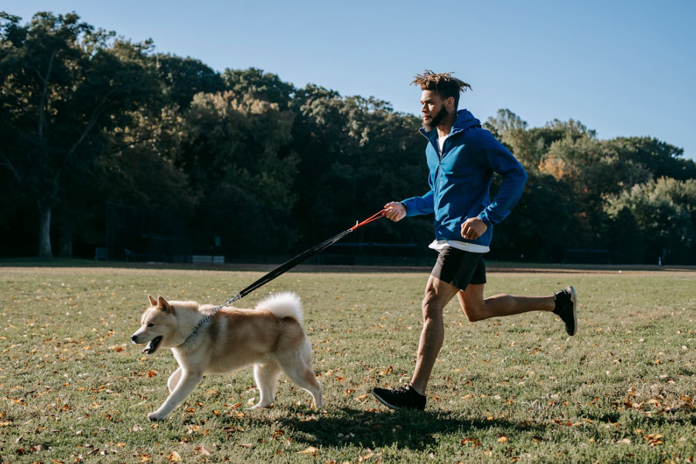 10 Pet-Friendly Workouts to Keep Your…